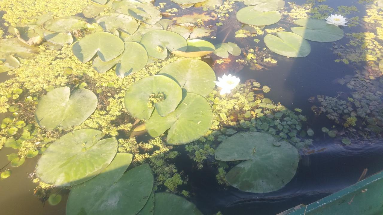 Kifog-Lak Vendeghaz Villa Poroszló Buitenkant foto